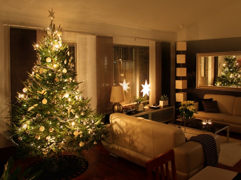 kerstboom in huis